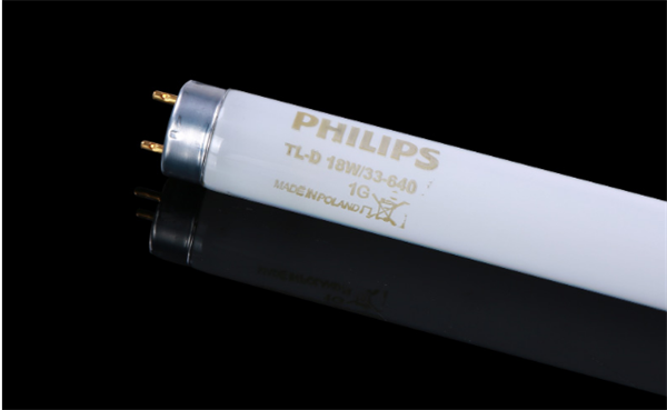 CWF香蕉视频APP污导航